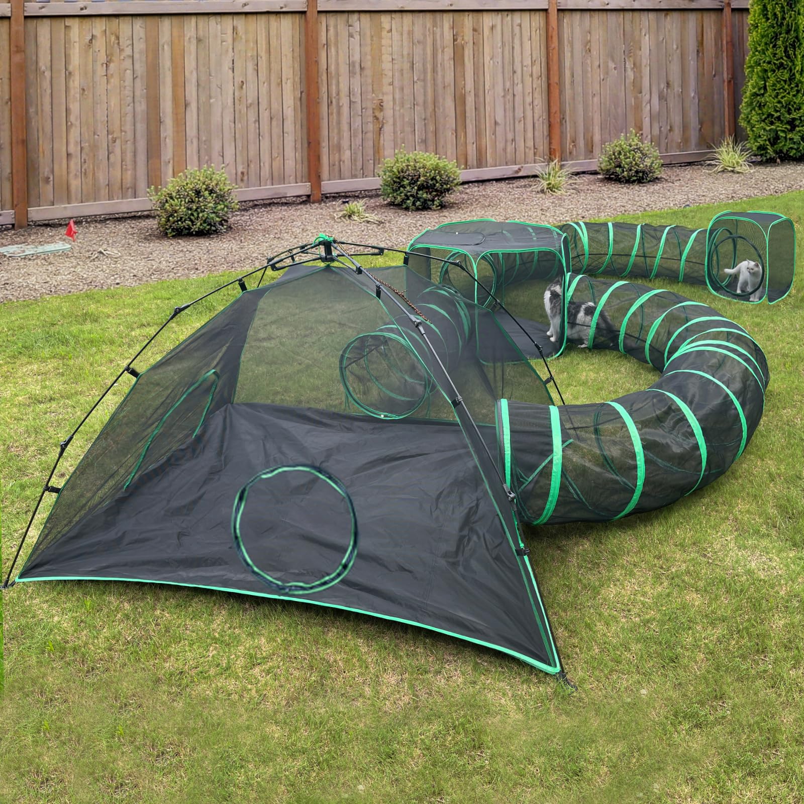Pawtenda Outdoor Cat Camp tents and tunnels enable safe outdoor exploration.