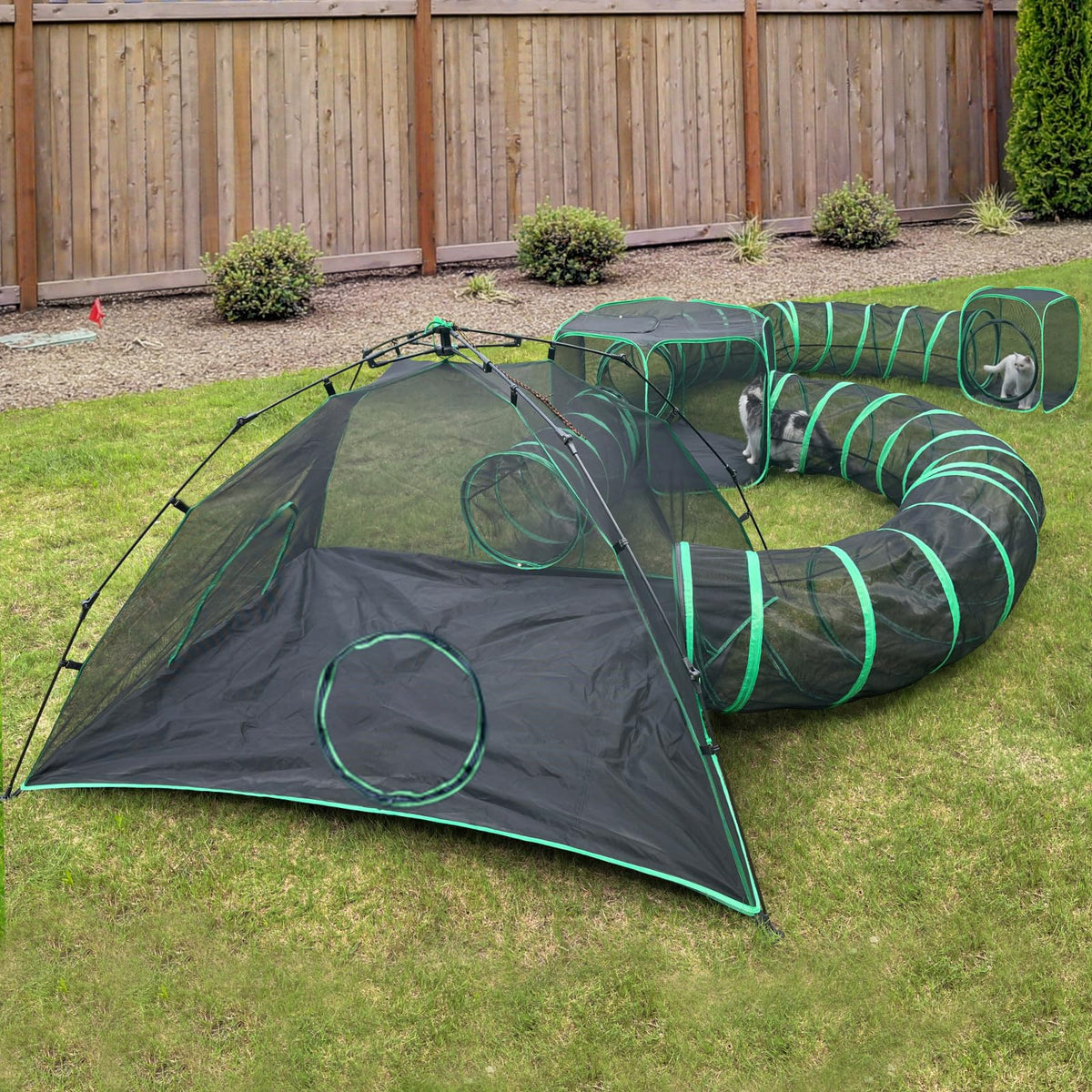 Pawtenda Outdoor Cat Camp tents and tunnels enable safe outdoor exploration.