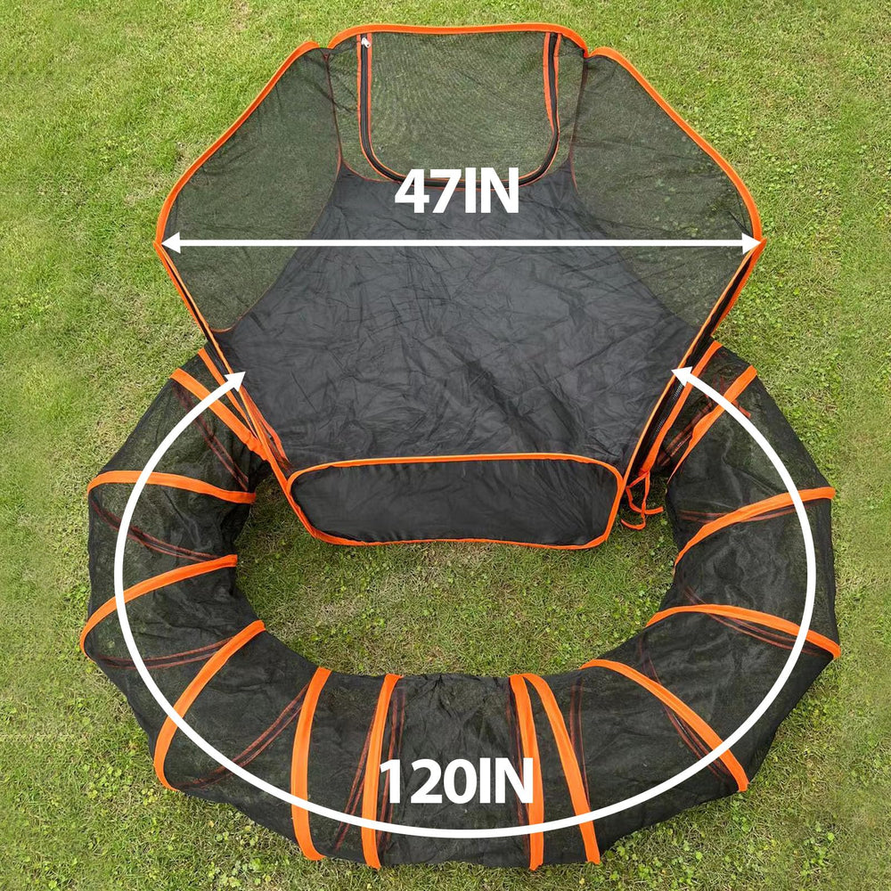 Pawtenda curved tunnel enclosure enhances exploration and agility for a cat.