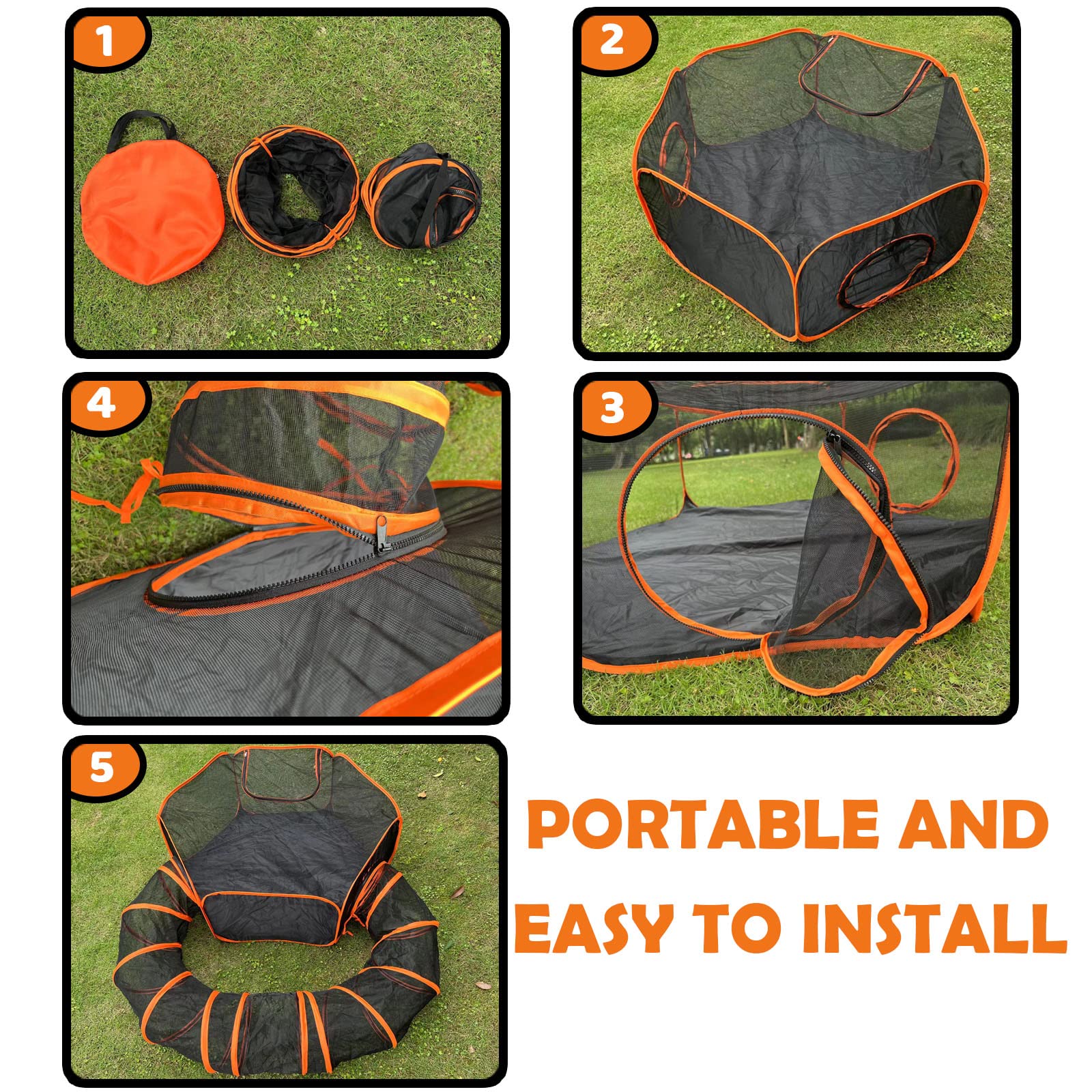 Pawtenda mesh-ventilated hexagonal-tent keeps air flowing and insects out.