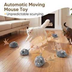 Pawthquake detachable-wheels design allows easy cleaning and maintenance.