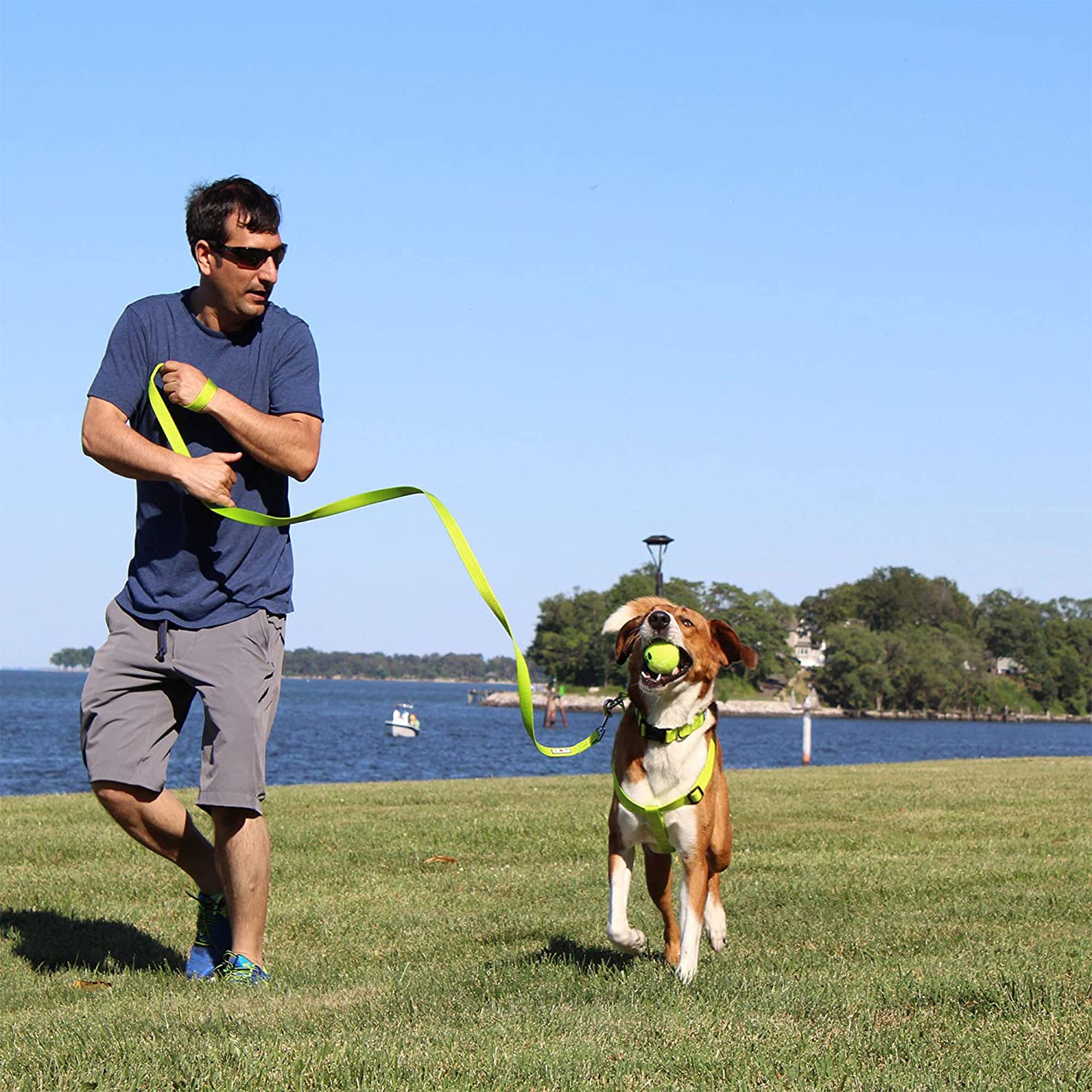Pawtitas Solid Step-in Harness color variants for different dog styles
