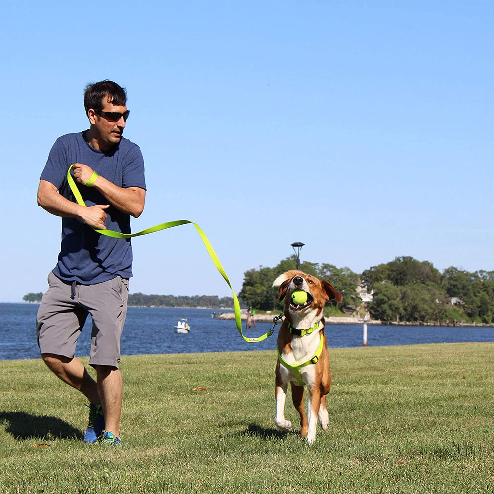 Pawtitas Solid Step-in Harness color variants for different dog styles