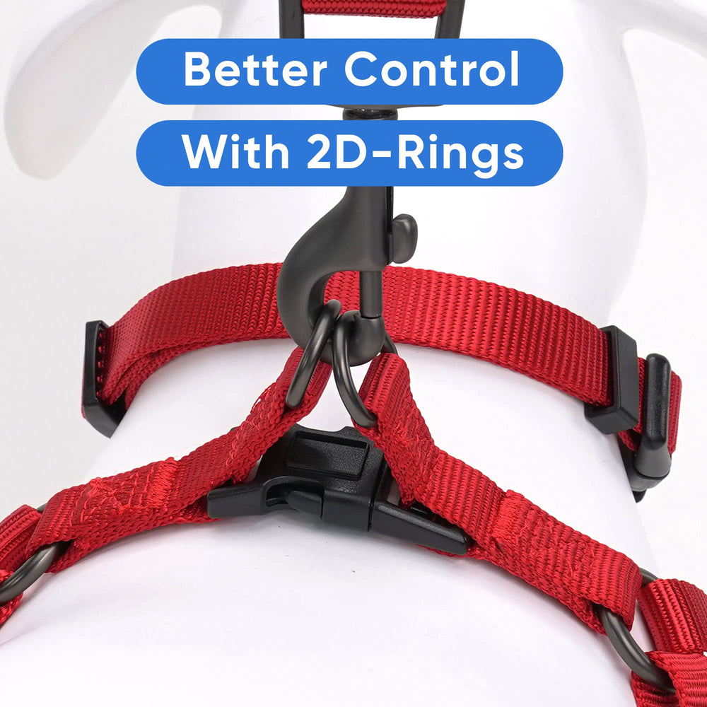 Pawtitas Solid Step-in Harness available in multiple colors to match your dog.