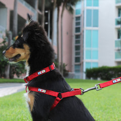 Pawtitas Solid Step-in Harness adjustable straps provide a snug, comfortable fit for dogs.