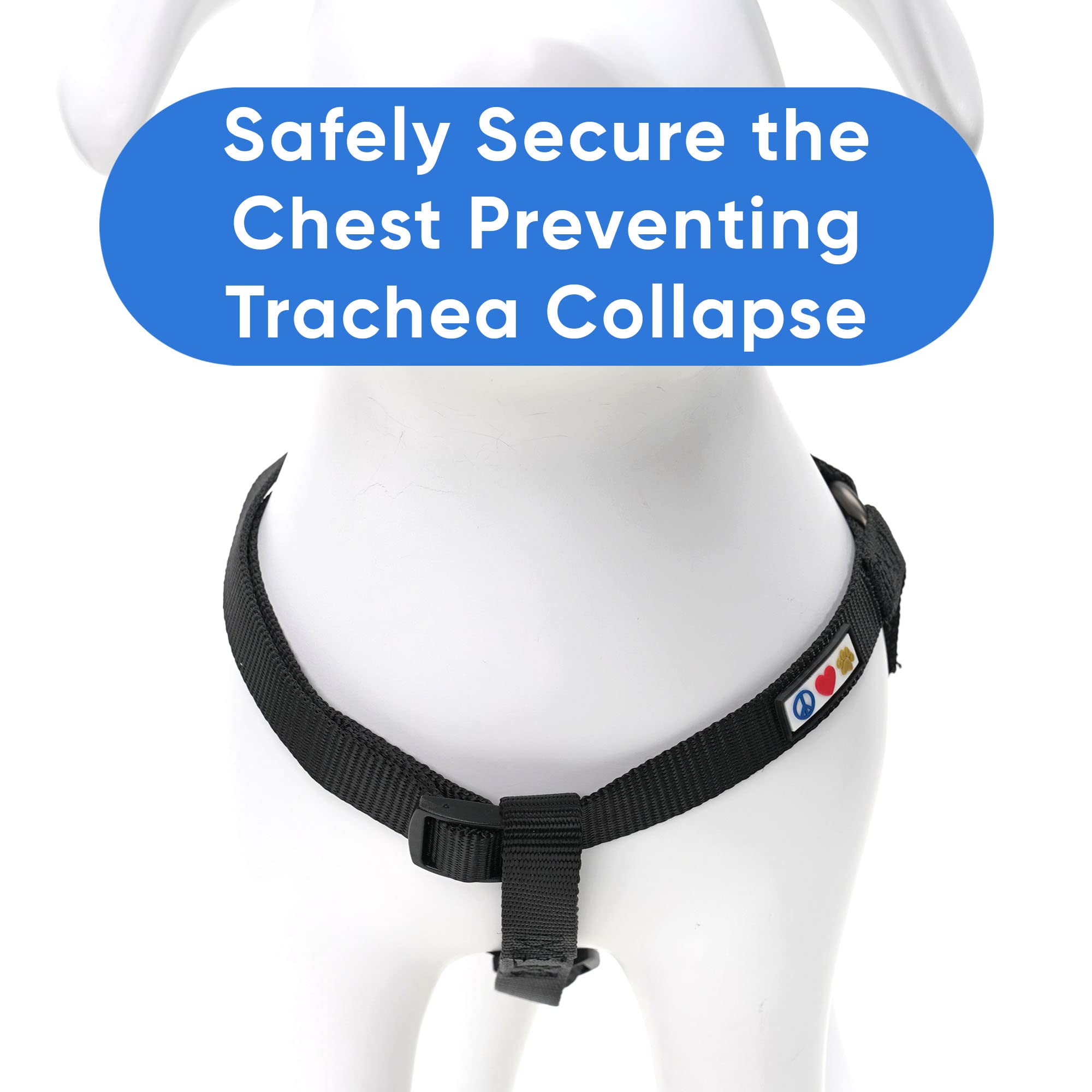 Pawtitas Solid Step-in Harness fits puppies to seniors with grow-with-you sizing.