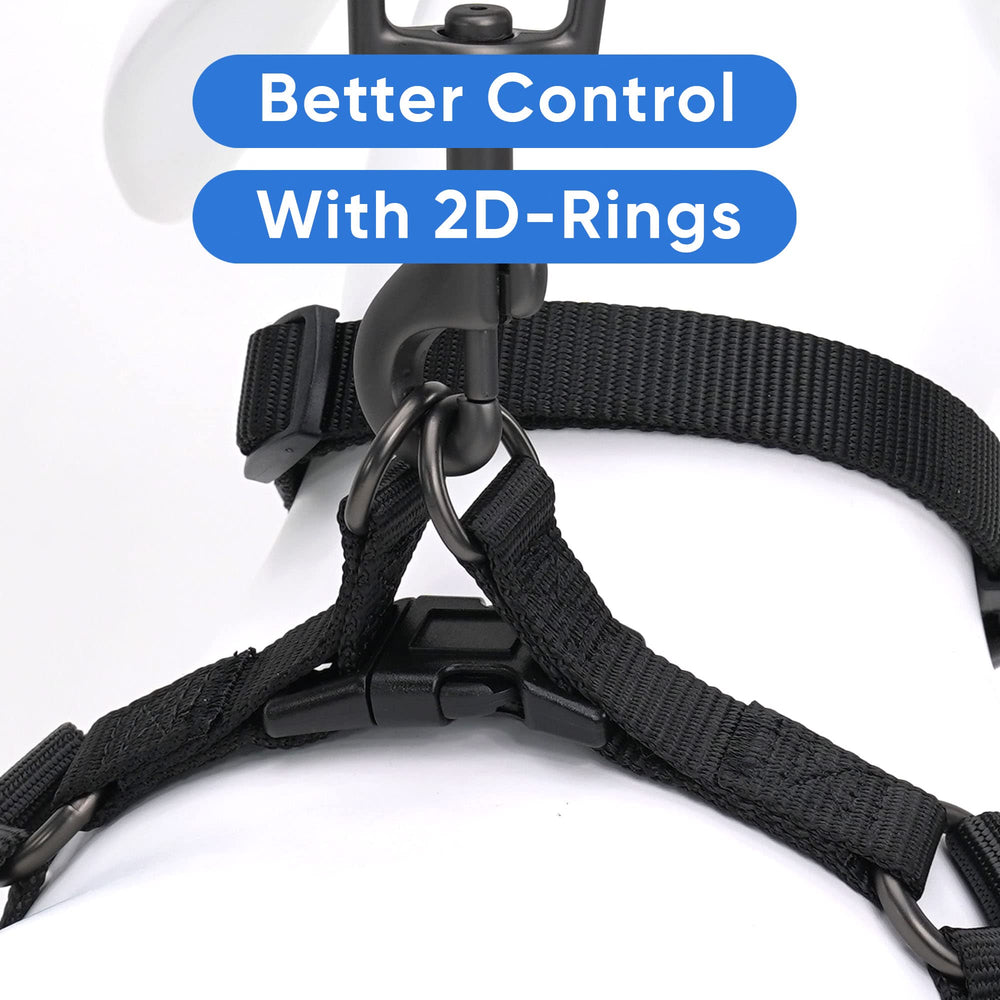 Pawtitas Solid Step-in Harness soft padding minimizes chafing and boosts comfort.