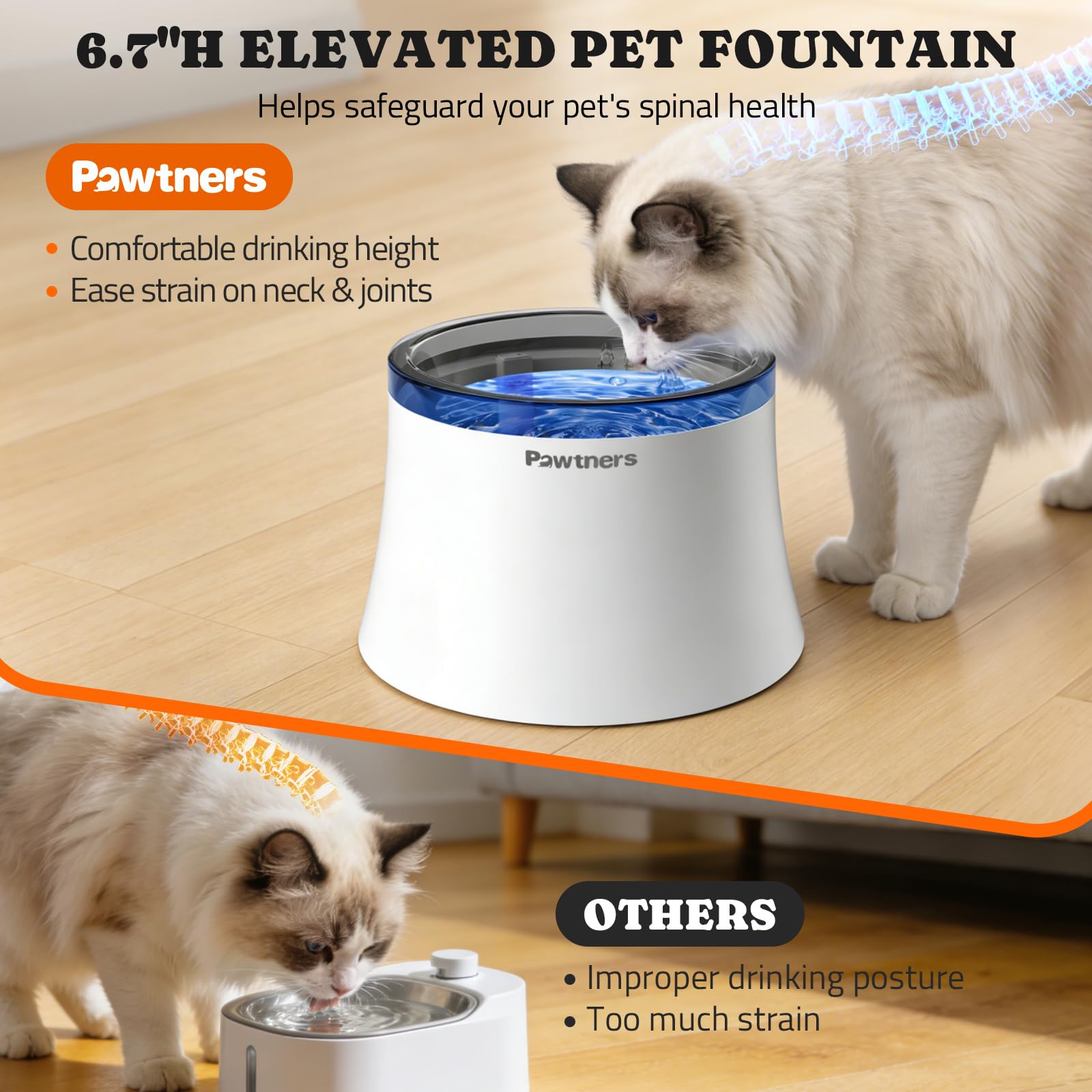 Pawtners 1-gallon water bowl showing spacious drinking area