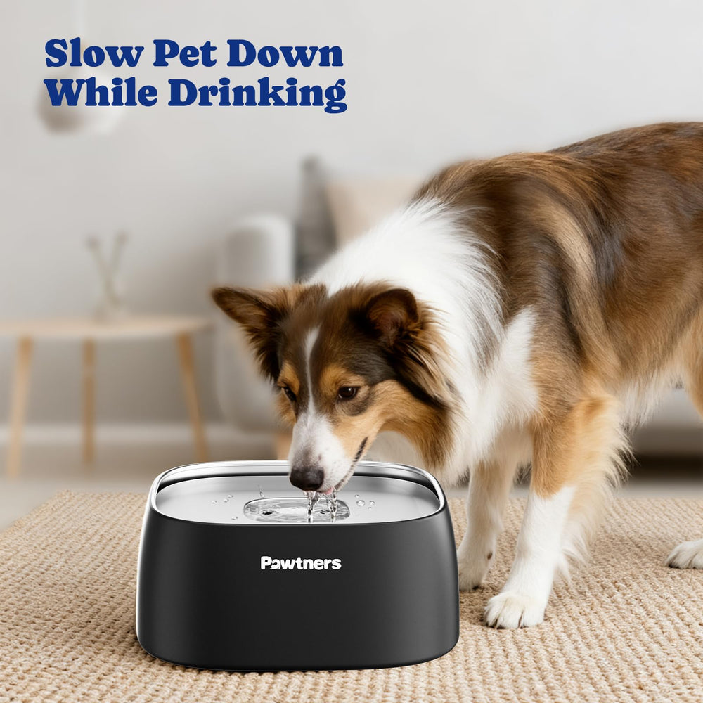 Pawtners 4L capacity suits medium to large breeds and multi-pet homes.