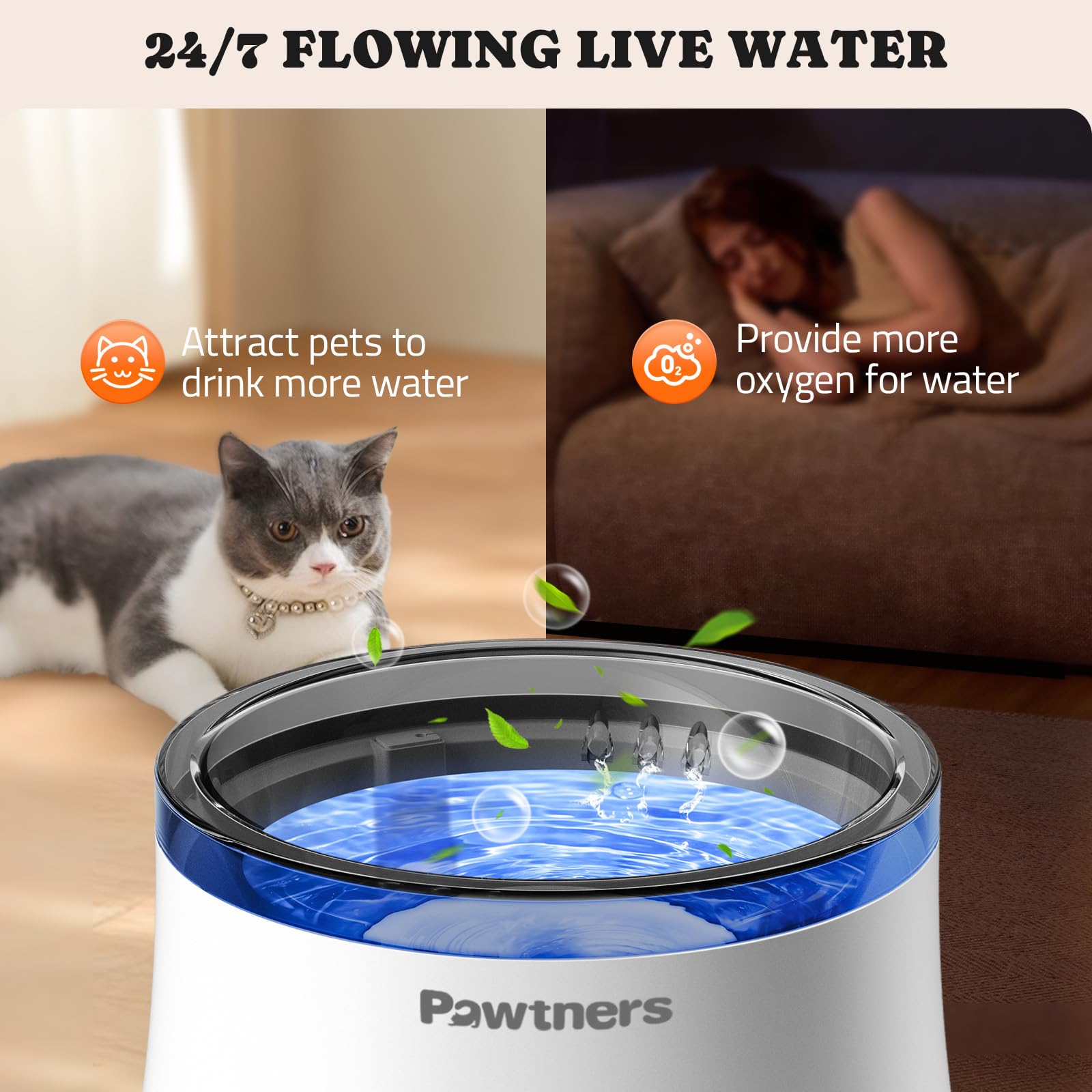 Pawtners easy maintenance with filter replacement and cleaning