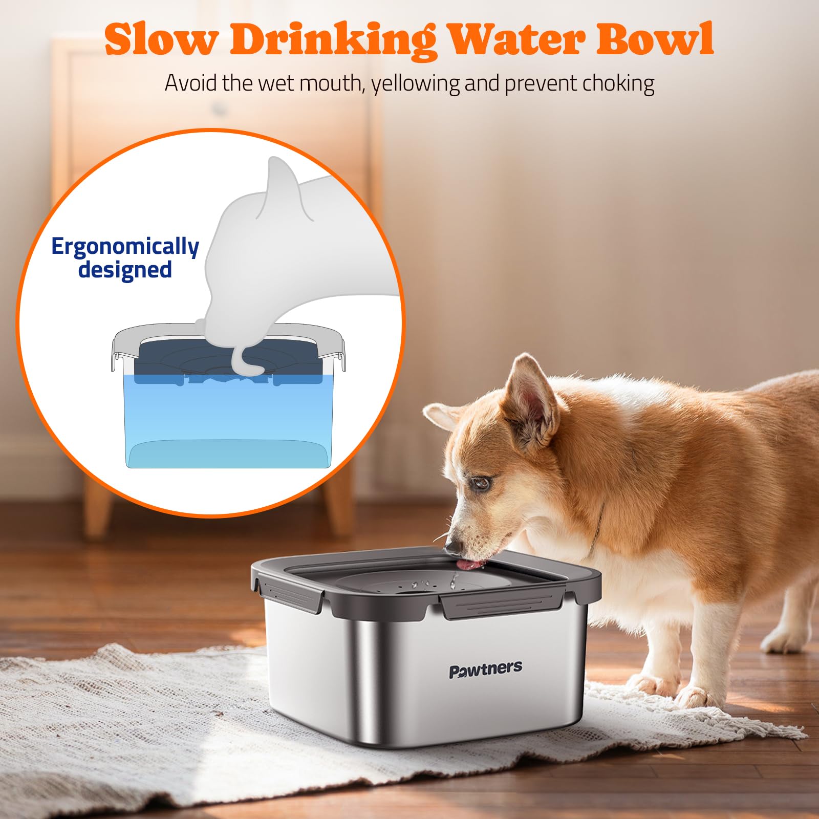 Pawtners floating disk design controls drinking pace for cleaner use