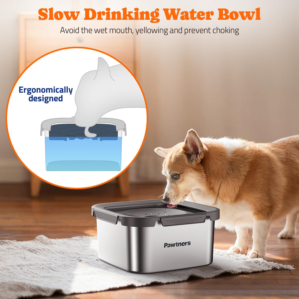 Pawtners floating disk design controls drinking pace for cleaner use