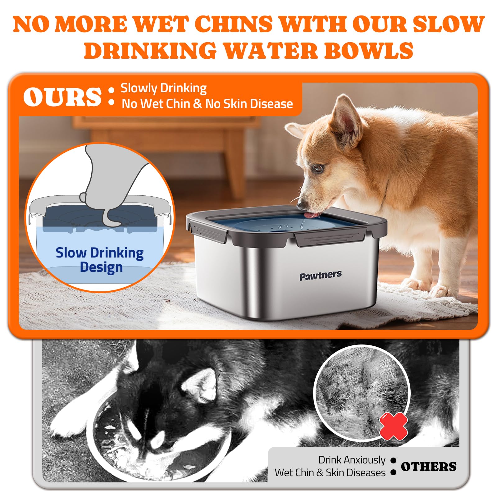 Pawtners floating disk system slows drinking for calmer sessions.