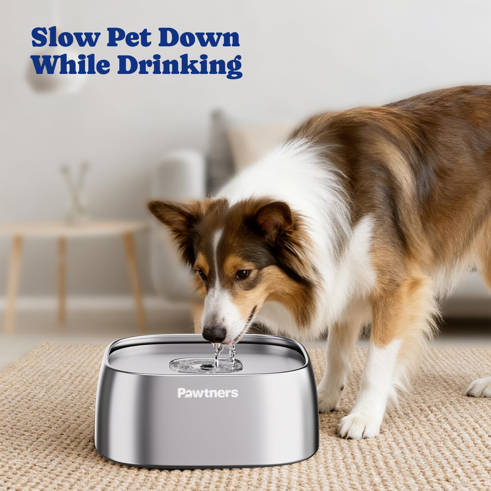 Pawtners slow-drinking bowl moderates intake during meals
