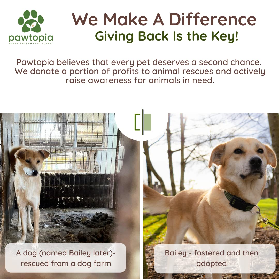 Travel-ready Pawtopia Pawtria waste bags for on-the-go use