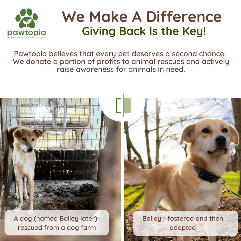 Travel-ready Pawtopia Pawtria waste bags for on-the-go use