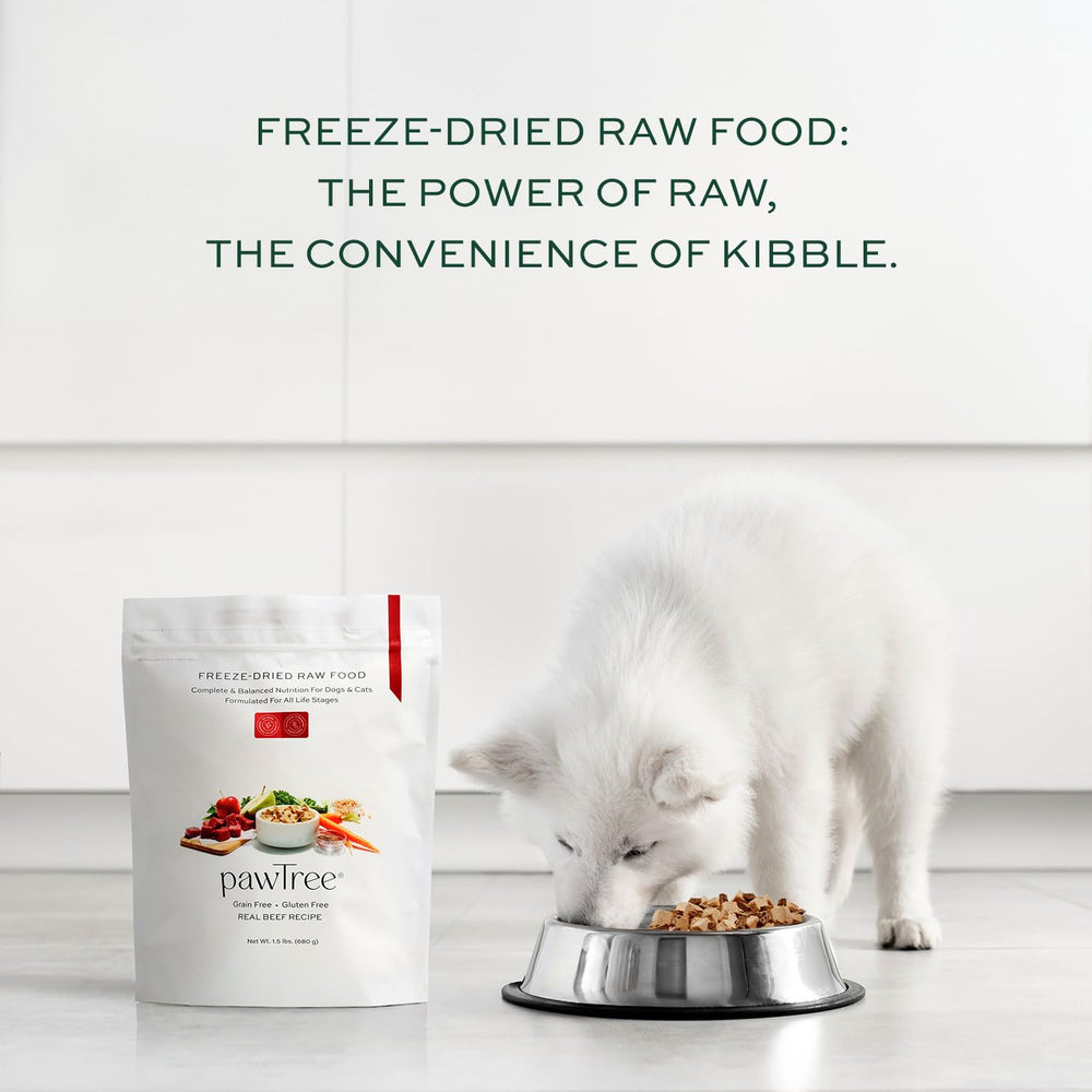 pawTree Freeze-Dried Raw Beef Recipe shelf-stable bag for easy raw feeding.