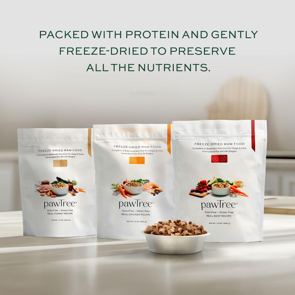 pawTree Freeze-Dried Raw Beef Recipe as topper on kibble to boost protein.