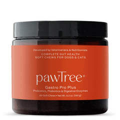 pawTree Gastro Pro Plus bottle closeup for dogs and cats supporting digestive balance.