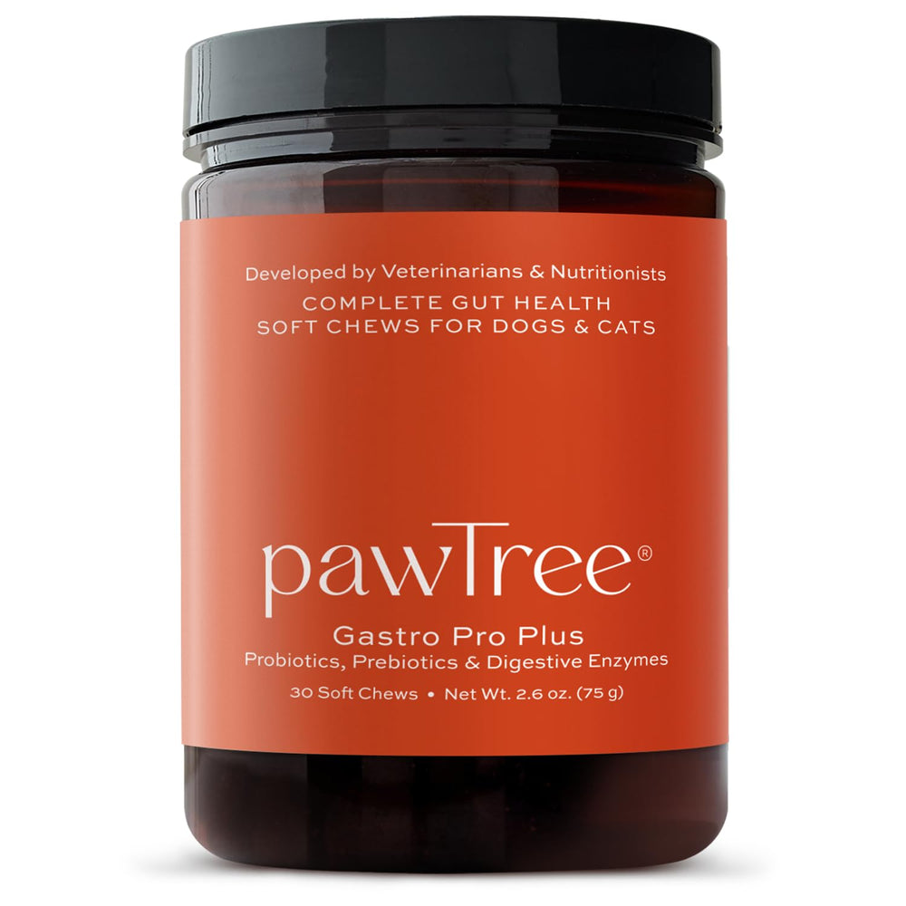 pawTree Gastro Pro Plus bottle front for gut support in pets