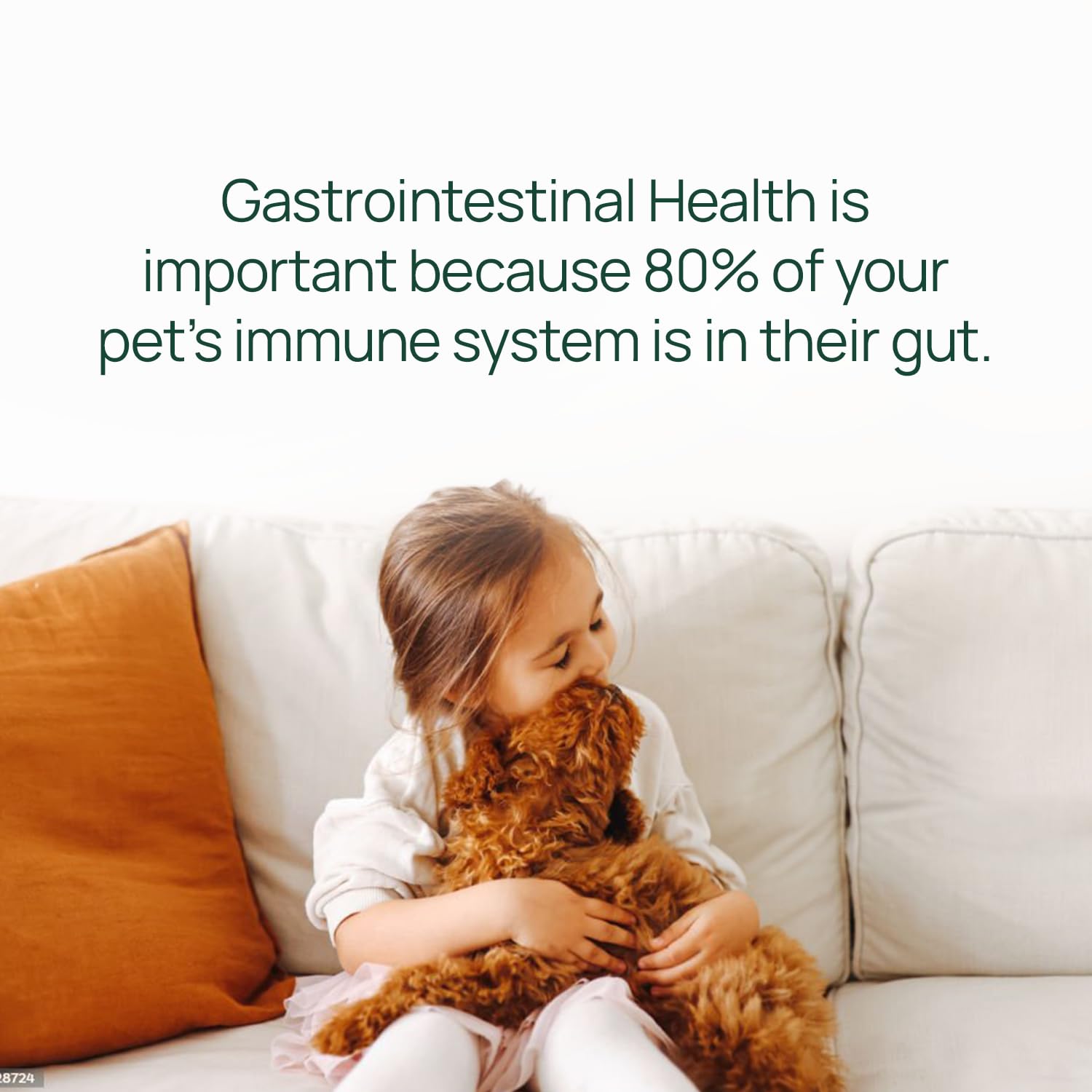 pawTree Gastro Pro Plus capsules close-up for easy daily dosing