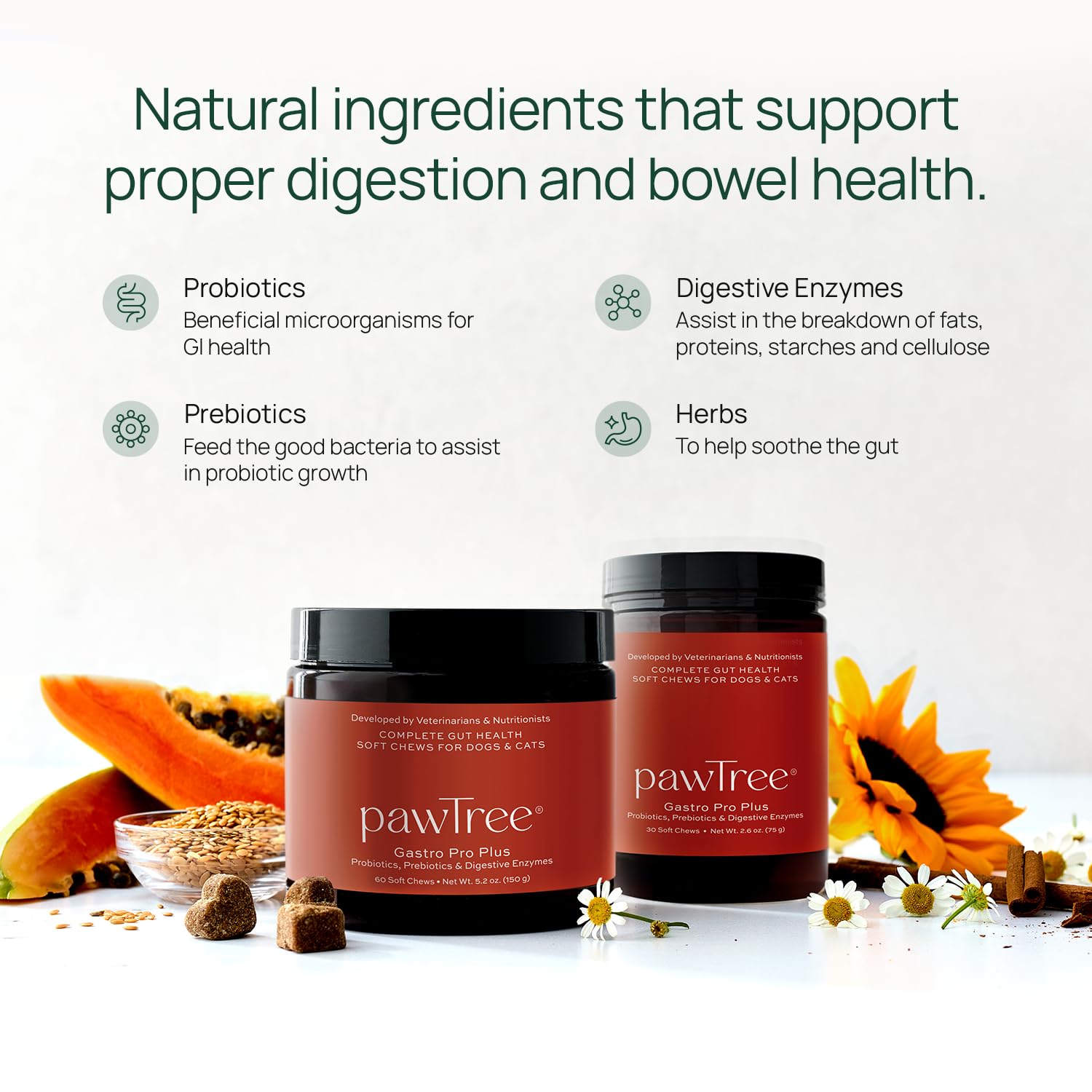 pawTree Gastro Pro Plus measuring spoon shows easy mixing into pet meals.