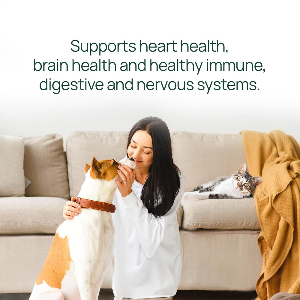 cat skin comfort shown with pawTree Salmon Oil supplement