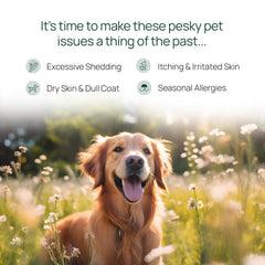 pawTree Salmon Oil topping added to meals to boost flavor and skin comfort
