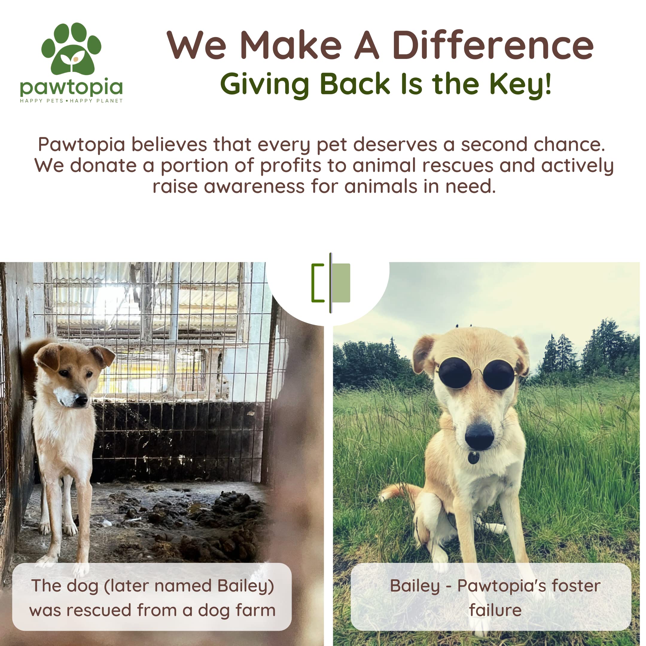 Pawtria donations support rescue organizations and adoption efforts.