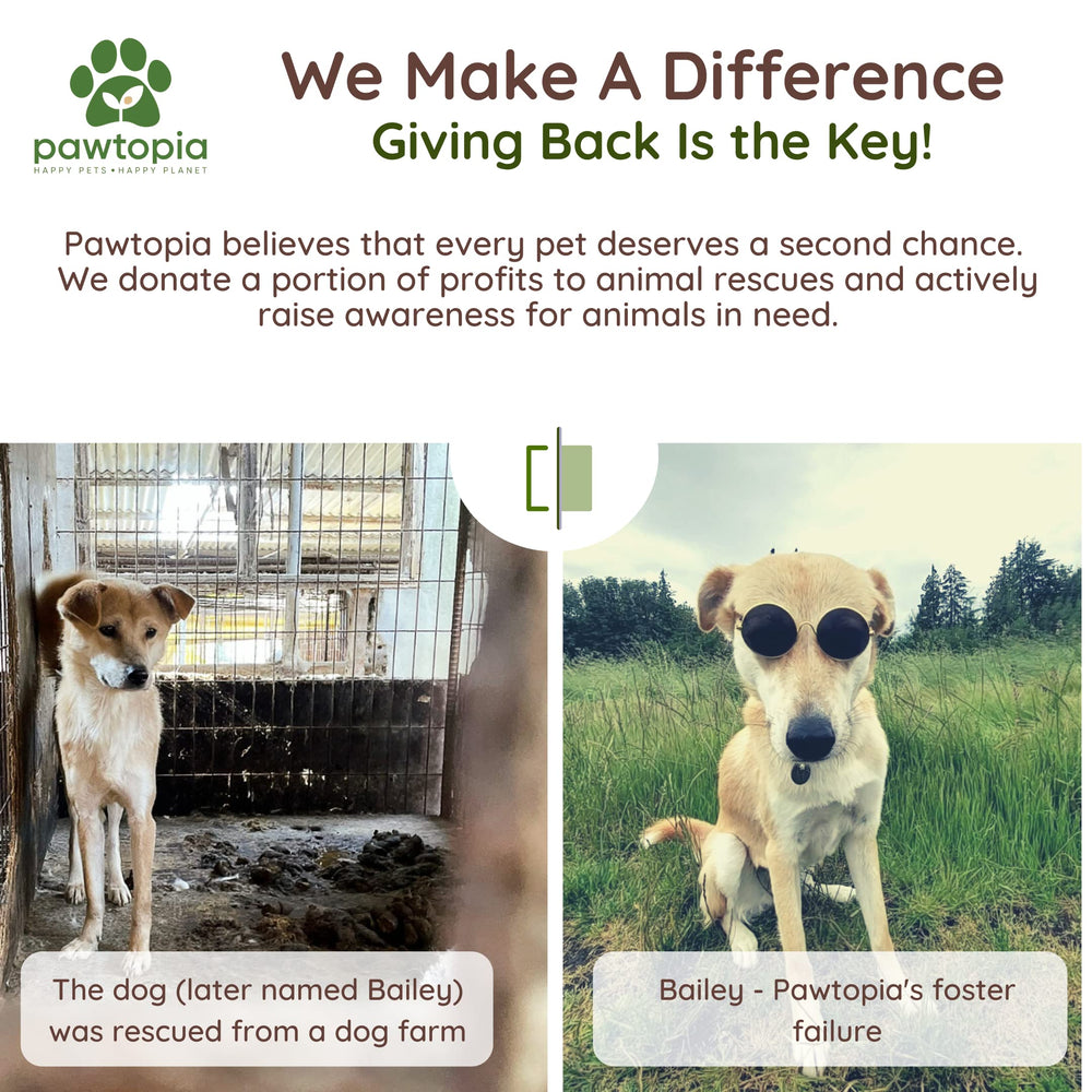 Pawtria donations support rescue organizations and adoption efforts.
