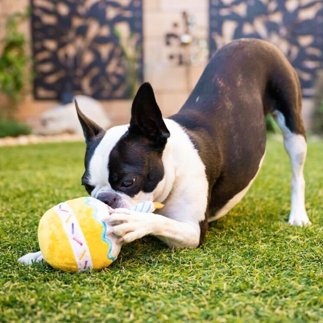 PAWTY Birthday Cupcake Toy soft plush materials for gentle chewing