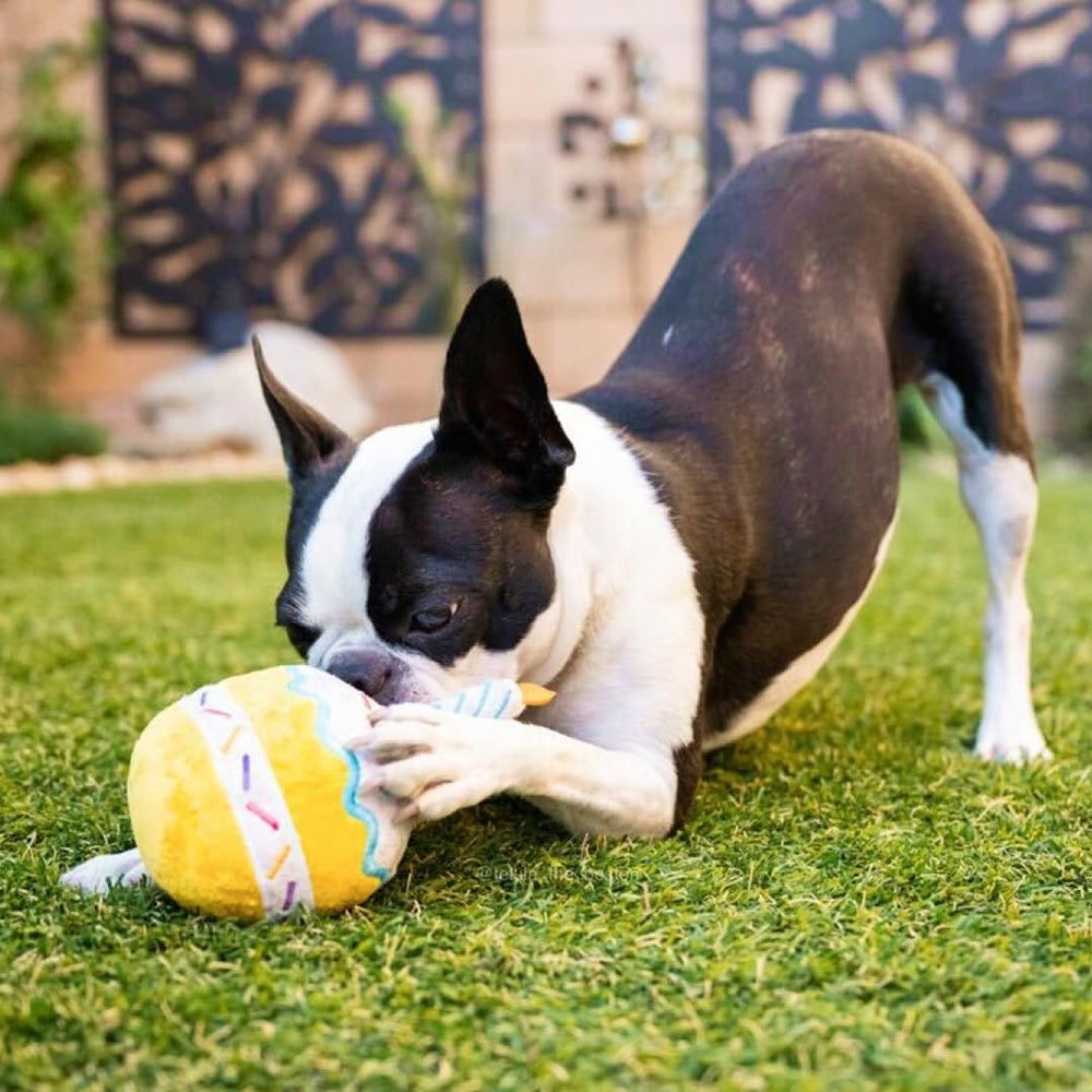 PAWTY Birthday Cupcake Toy soft plush materials for gentle chewing