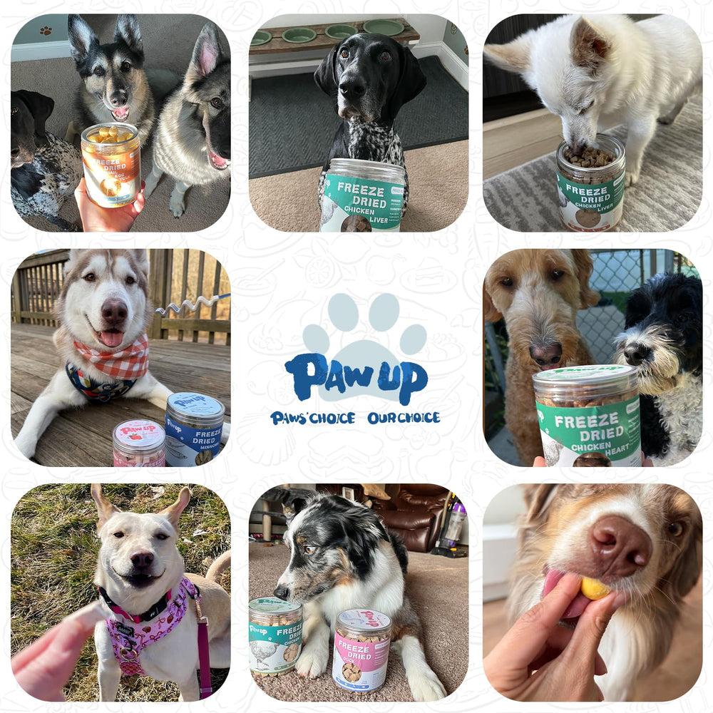 PAWUP Capelin Freeze-Dried: raw-like taste without the mess of fresh fish.