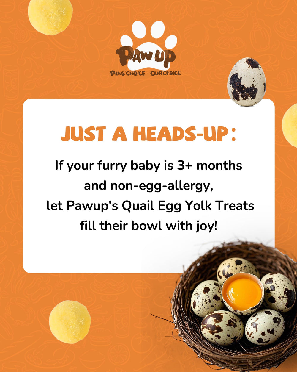 PAWUP cat and dog treats display for carnivorous pets.