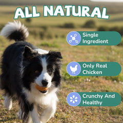 PAWUP Chicken Neck Crispy Chunks; convenient chew for longer rewards.