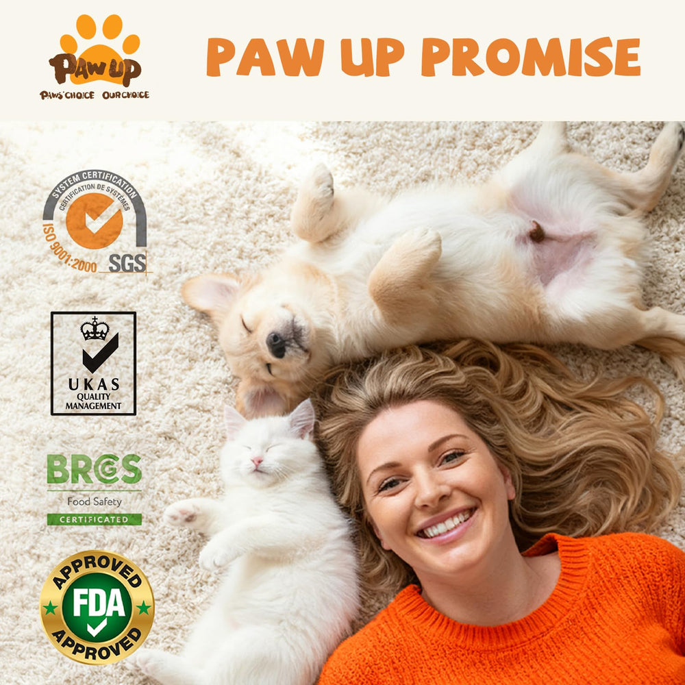 PAWUP pumpkin snack highlighted for digestive-friendly fiber.