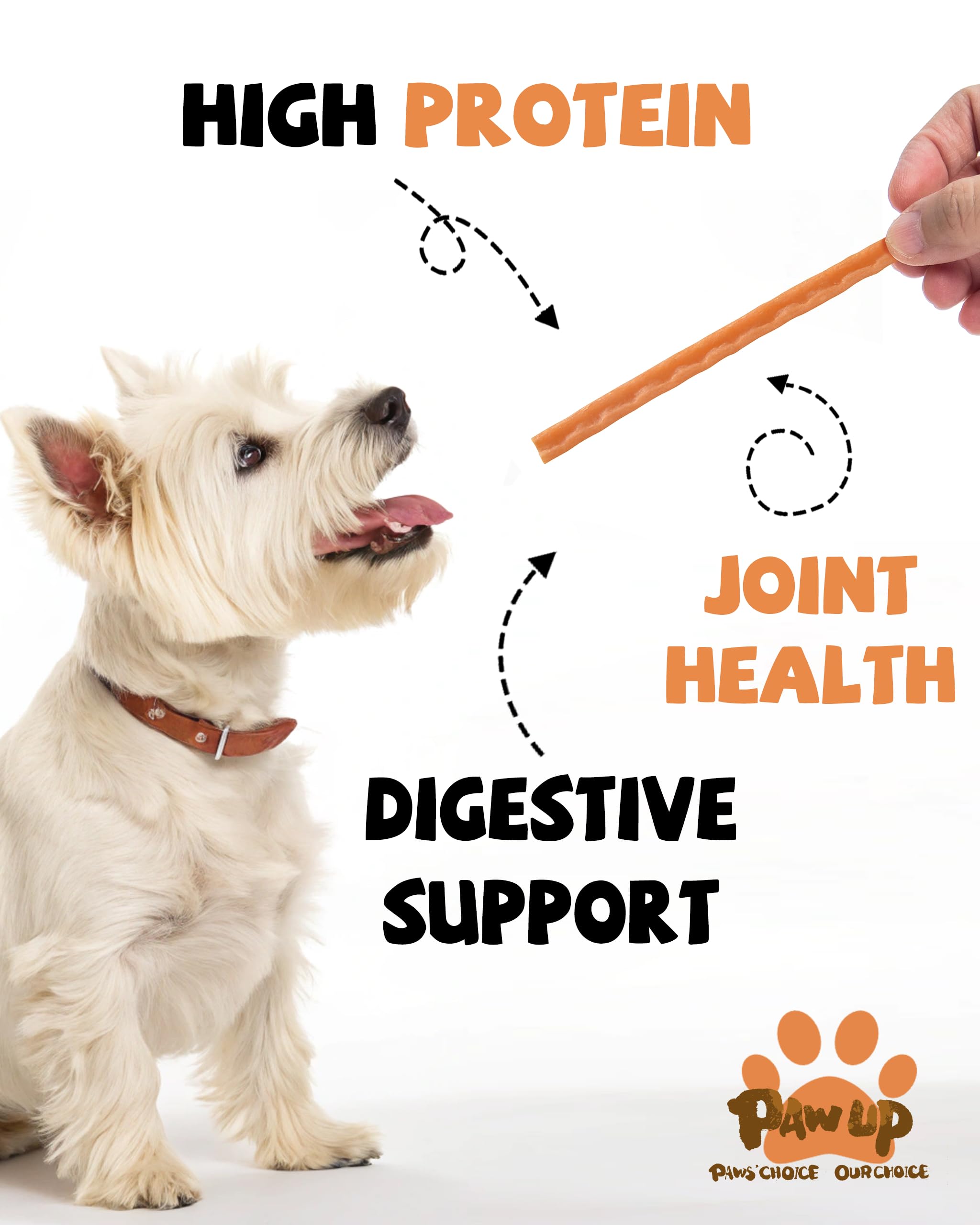 PAWUP dog enjoying Chicken & Sweet Potato Sticks as a tasty reward