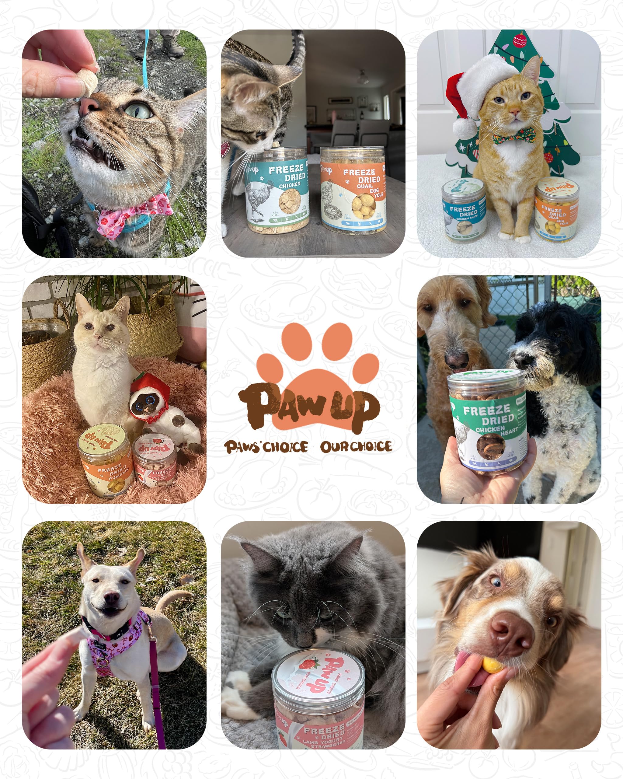PAWUP Salmon as a dog food topper, easy to sprinkle over meals for extra flavor.