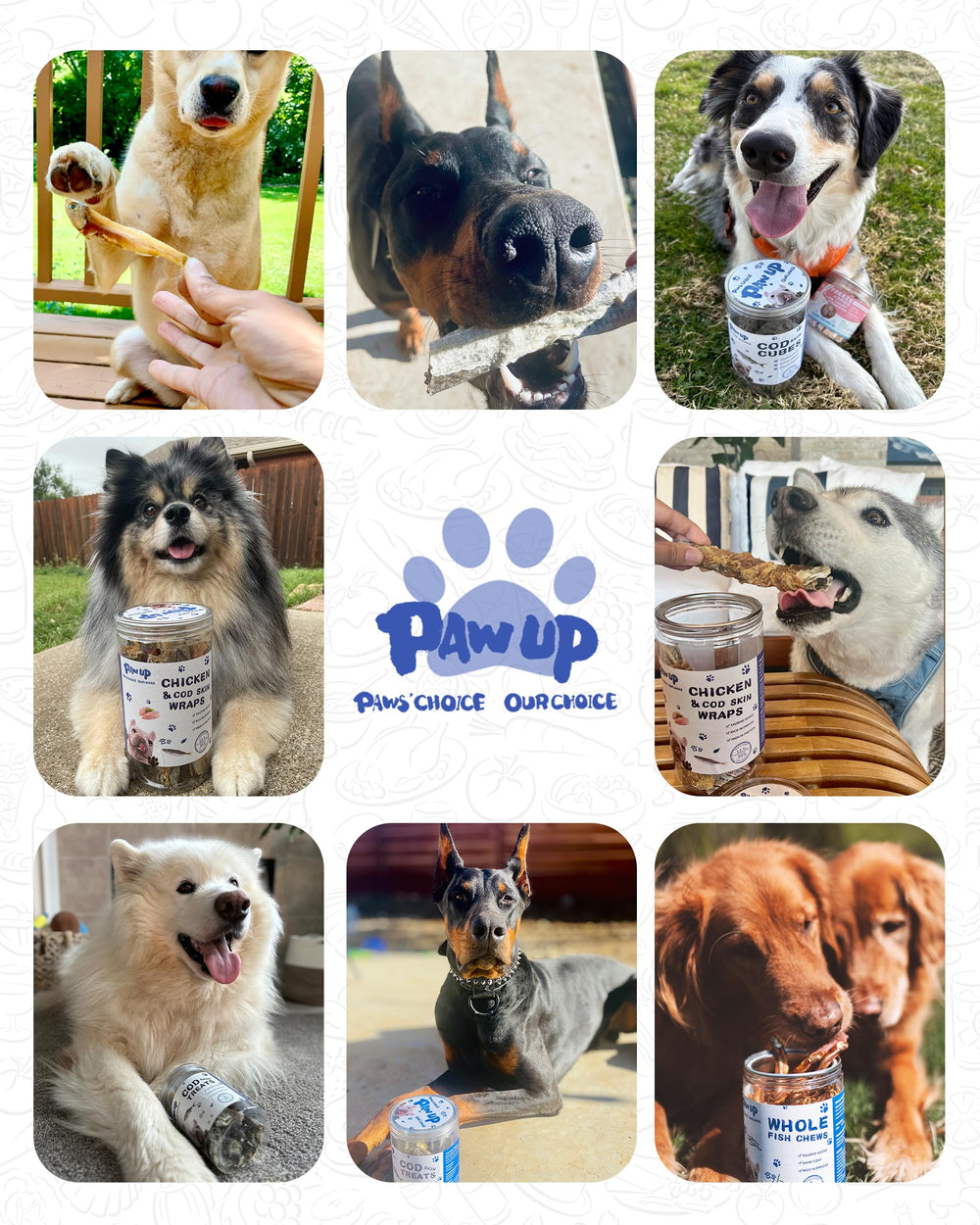 PAWUP omega-3 rich pieces highlight coat and skin support for pets.