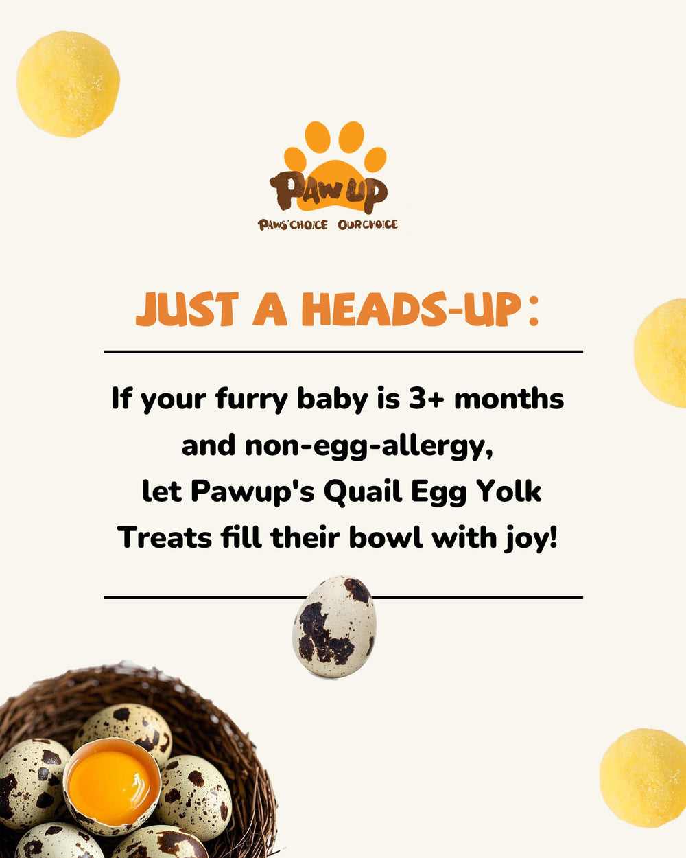 PAWUP free-range quail egg origin visual, natural protein source.