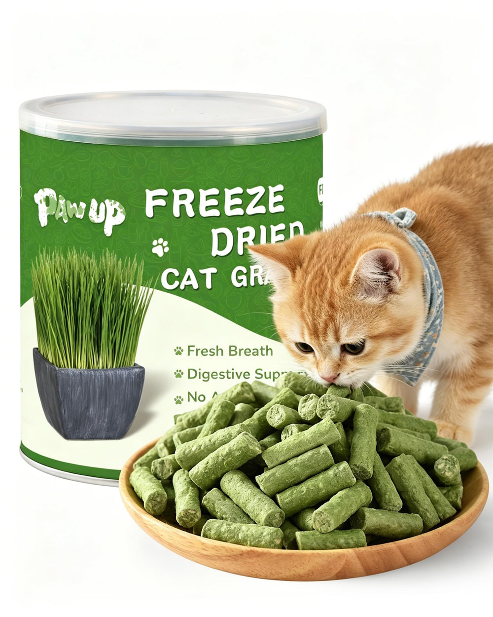 PAWUP freeze-dried chicken cat treats: crisp bites for training rewards.