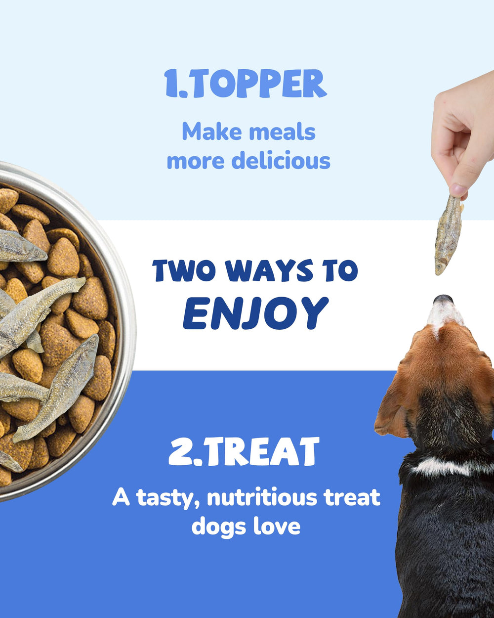PAWUP dog treat time image of a dog enjoying a protein-rich reward.