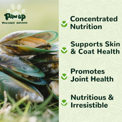 PAWUP freeze-dried mussels close-up highlighting crunchy texture