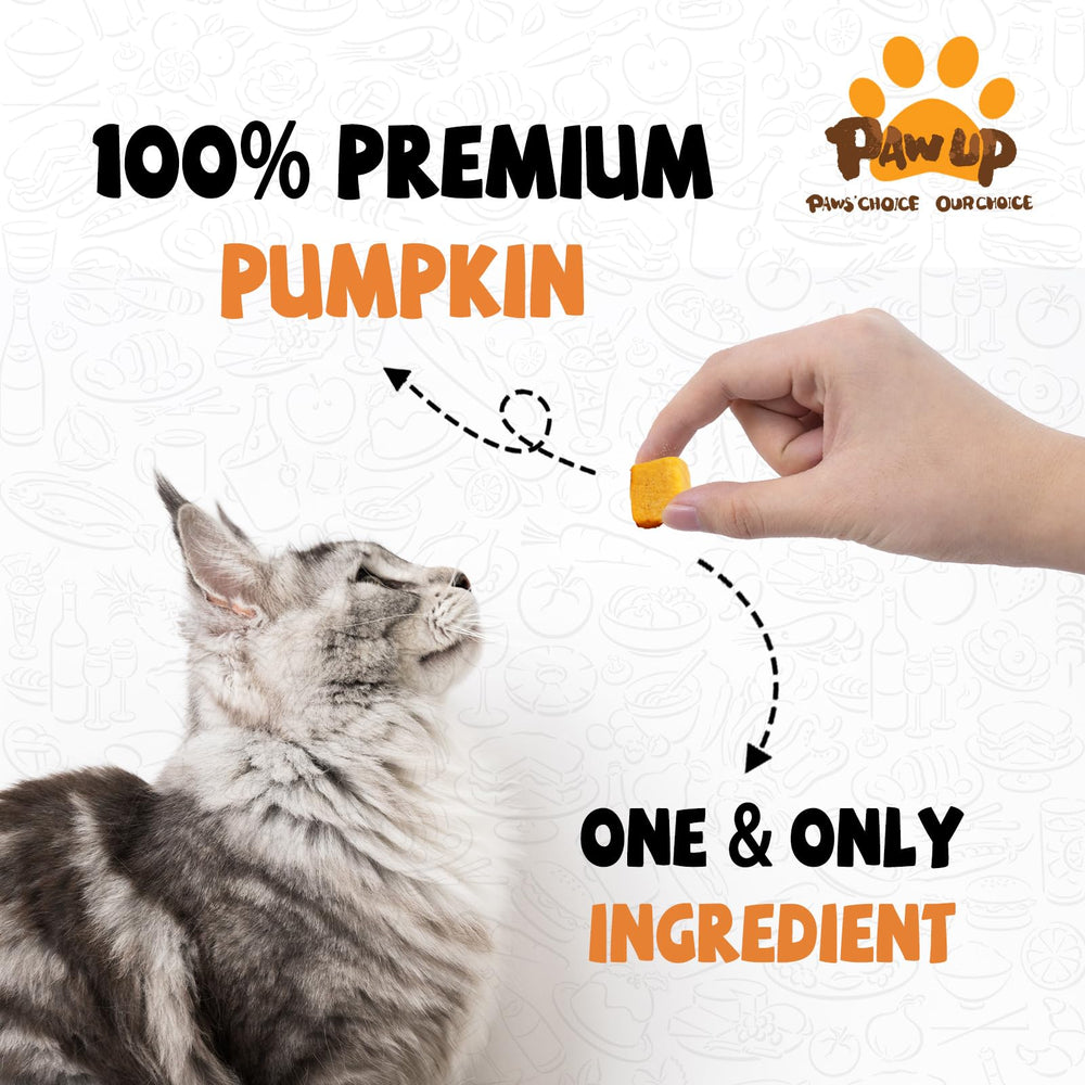 PAWUP freeze-dried pumpkin close-up reveals nutrient-rich fiber preserved.