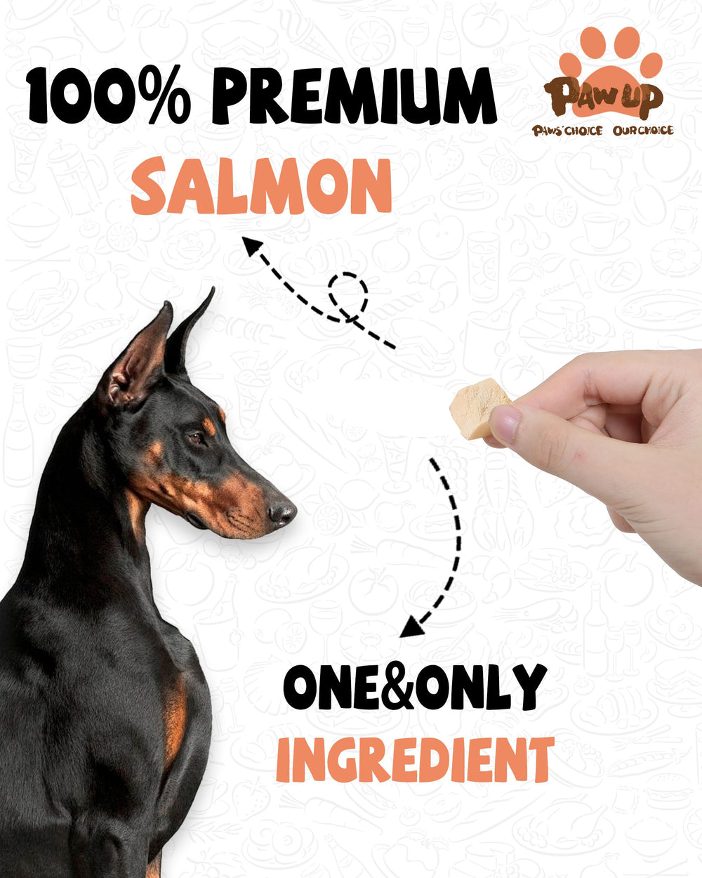 PAWUP Freeze Dried Salmon Treats, crumbled form for added flavor on meals.