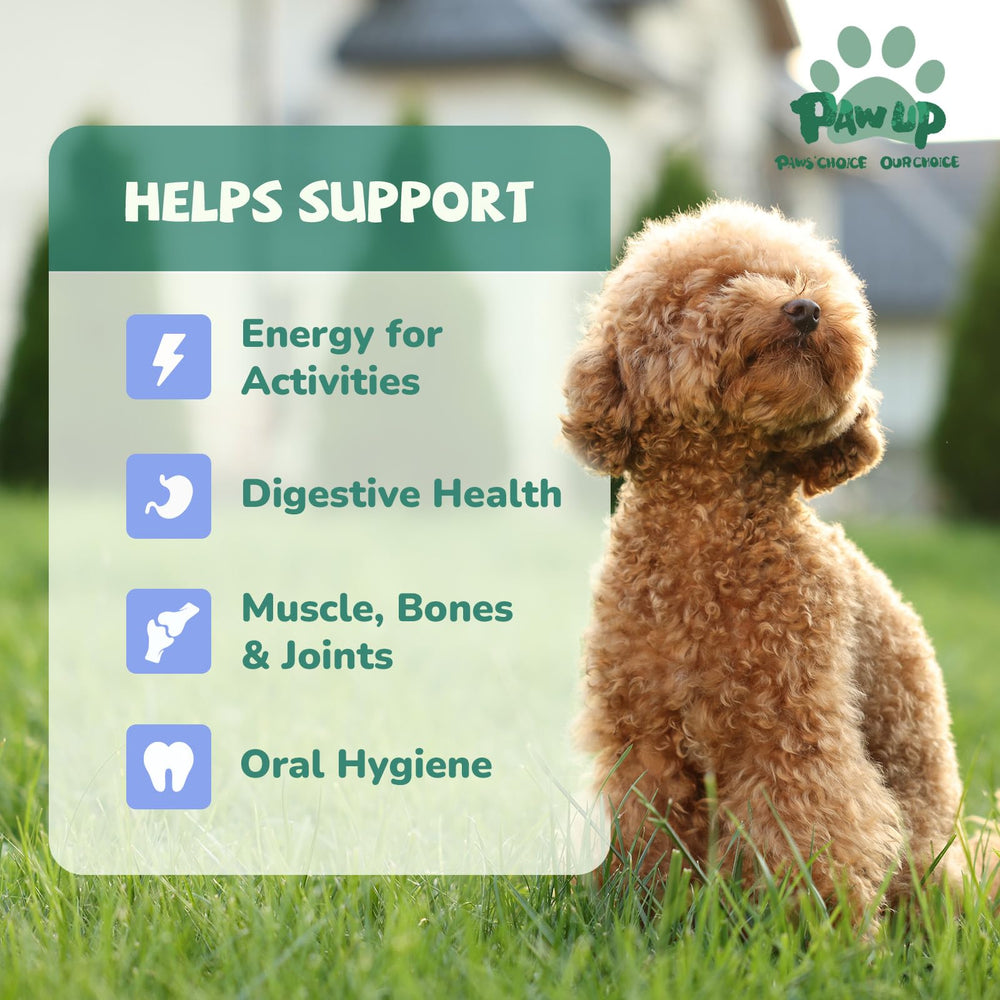 PAWUP High-Protein Chicken Neck; natural nutrition from freeze-drying.