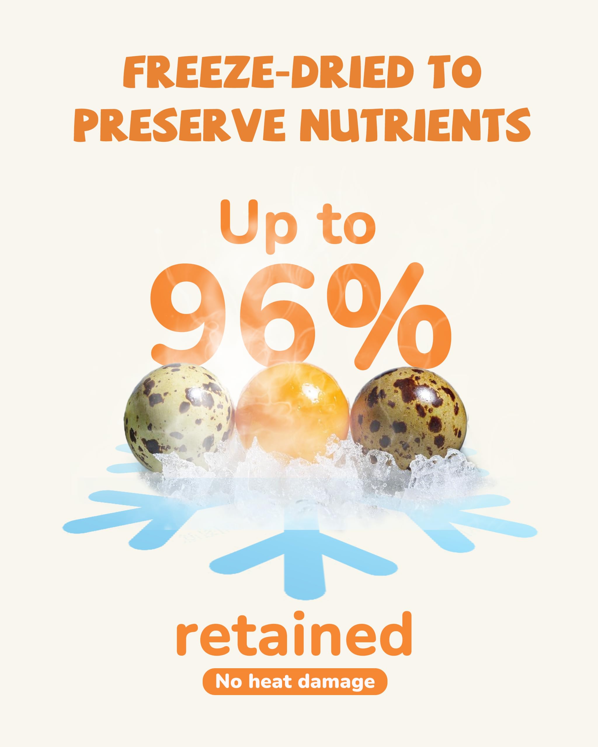 PAWUP high-protein pet snack close-up, ideal for training rewards.