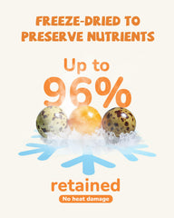 PAWUP high-protein pet snack close-up, ideal for training rewards.