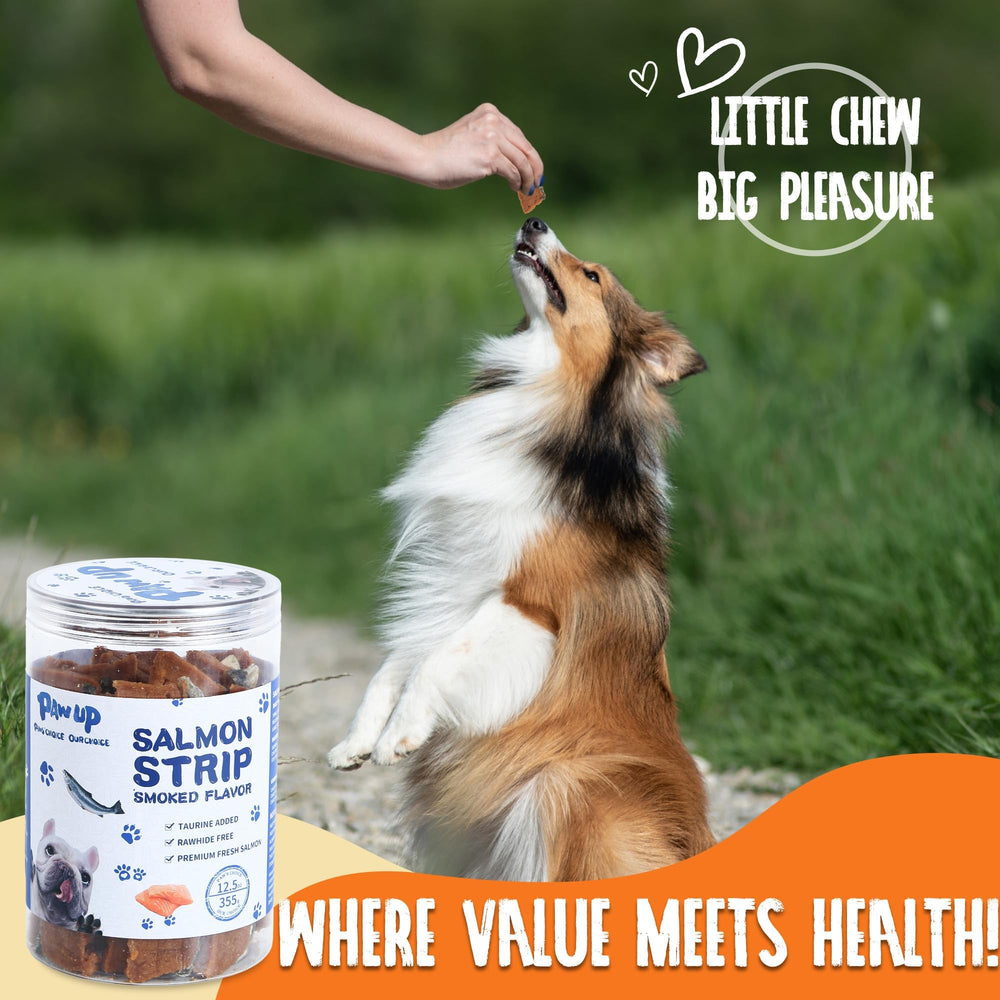PAWUP High-protein Salmon Treats, lean nutrition for active dogs