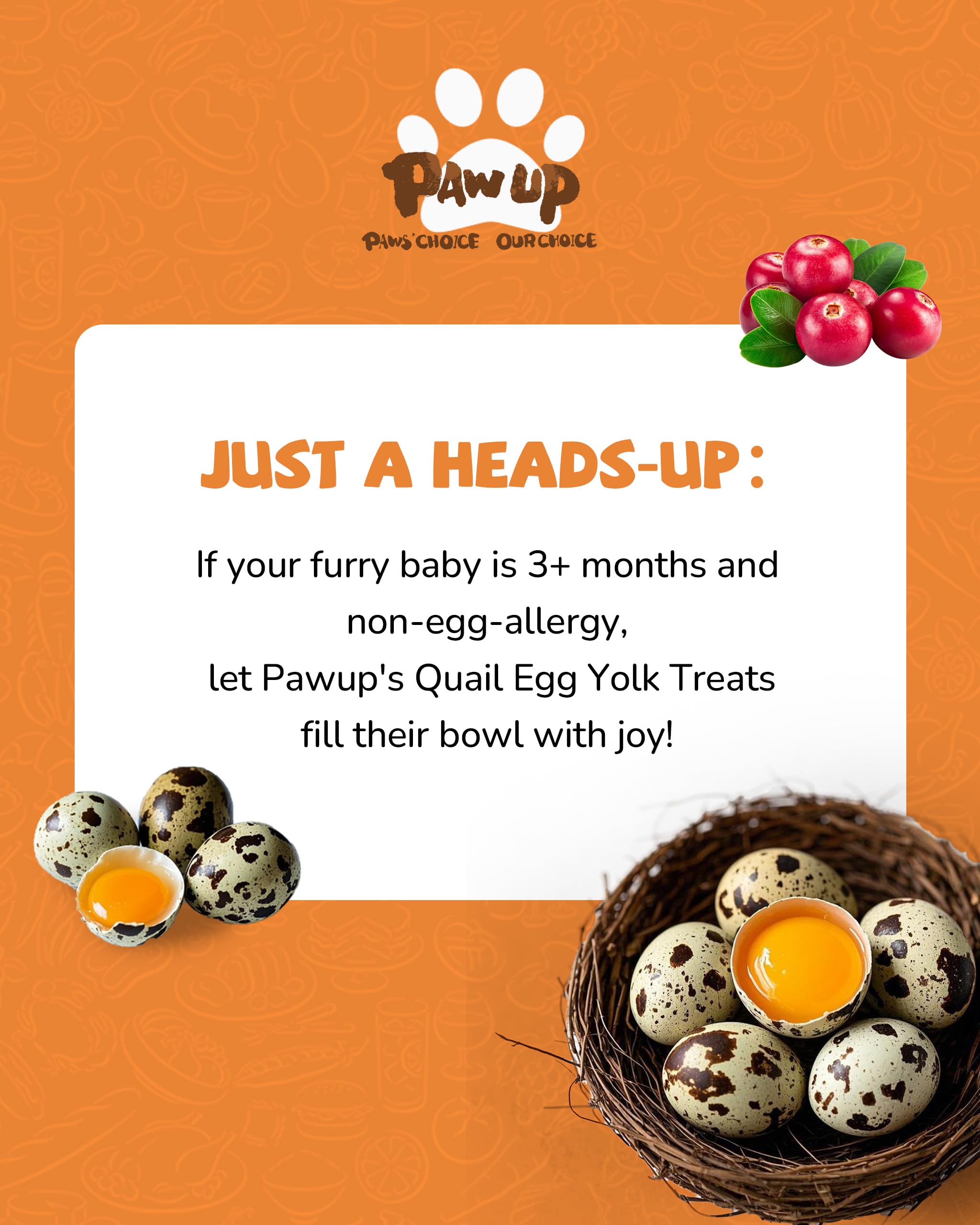 PAWUP paw-shaped treats pleasing picky pets with rich flavor.